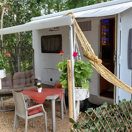 Boho Marine *